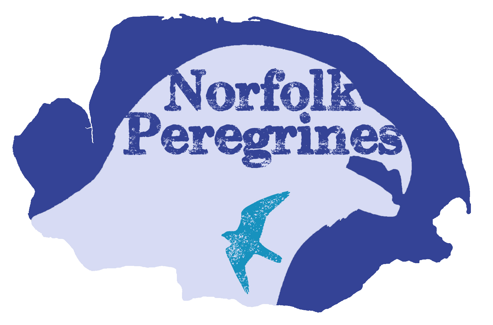 Norfolk Peregrines